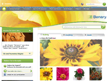 Tablet Screenshot of benary.de